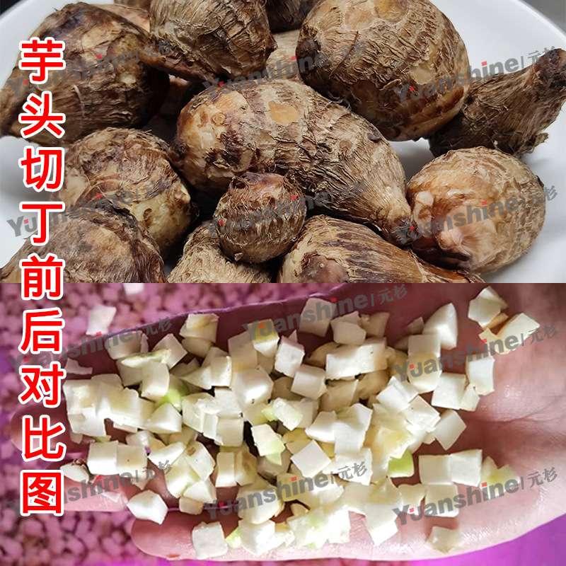 全自动大型酸笋切丁机 虾仁切丁机 不锈钢酸木瓜三维切丁机
