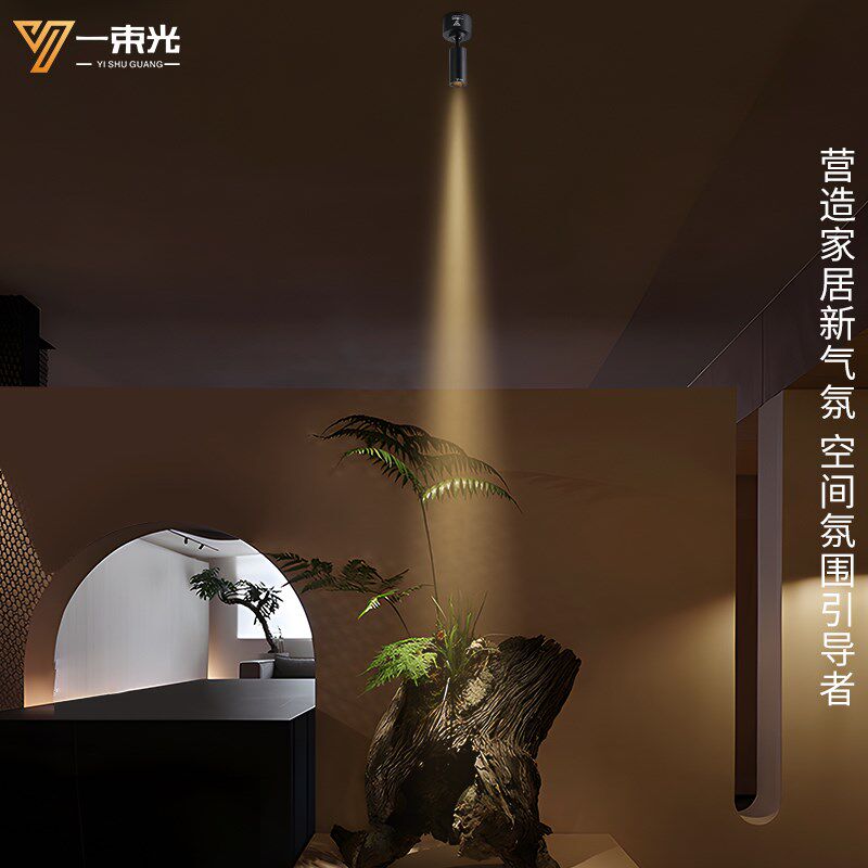 一束光小射灯迷你明装客厅吊顶茶室玄关吧台餐桌led小角度聚光灯