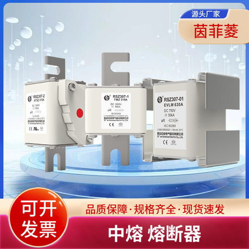 RS306-00-NGC40A50A63A80A100A125A160A西安中熔熔断器
