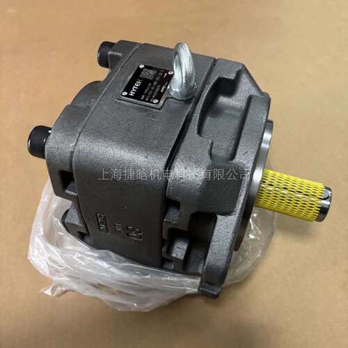 HYTEK海特克齿轮泵 HG2-80-01R-VPC-36-2 HG2-160-01R-VPC-36-2
