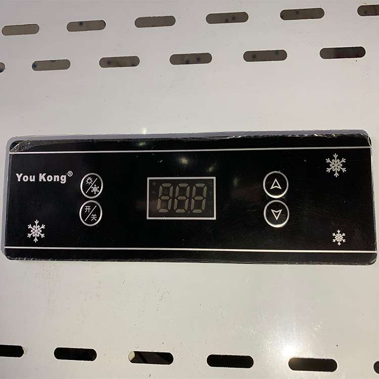 商用工程款两门冷柜 保鲜冷冻冰箱 立式两门冰箱 厨房冷柜 高性价