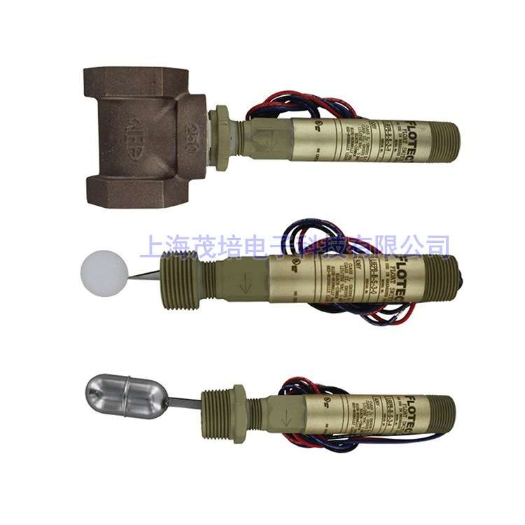 Dwyer德威尔FLOTECT液位开关L6EPB-B-S-3-B,L6EPB-B-S-3-B-CSA