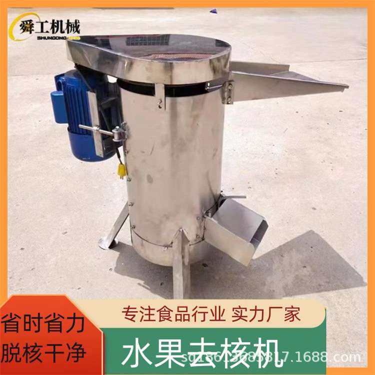 不锈钢水果脱籽机 大型立式去胡打浆设备 桃子橄榄葡萄去核机