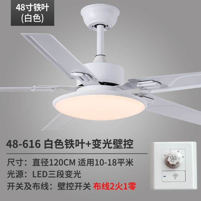 吊扇灯铁叶餐厅风扇灯客厅卧室家用简约现代带电风扇的吊灯欧式