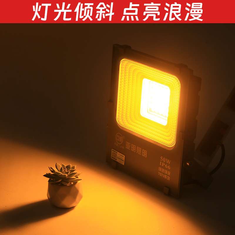 led投光灯Ip66室外探照工地广告工程投射灯户外路灯大功率泛光