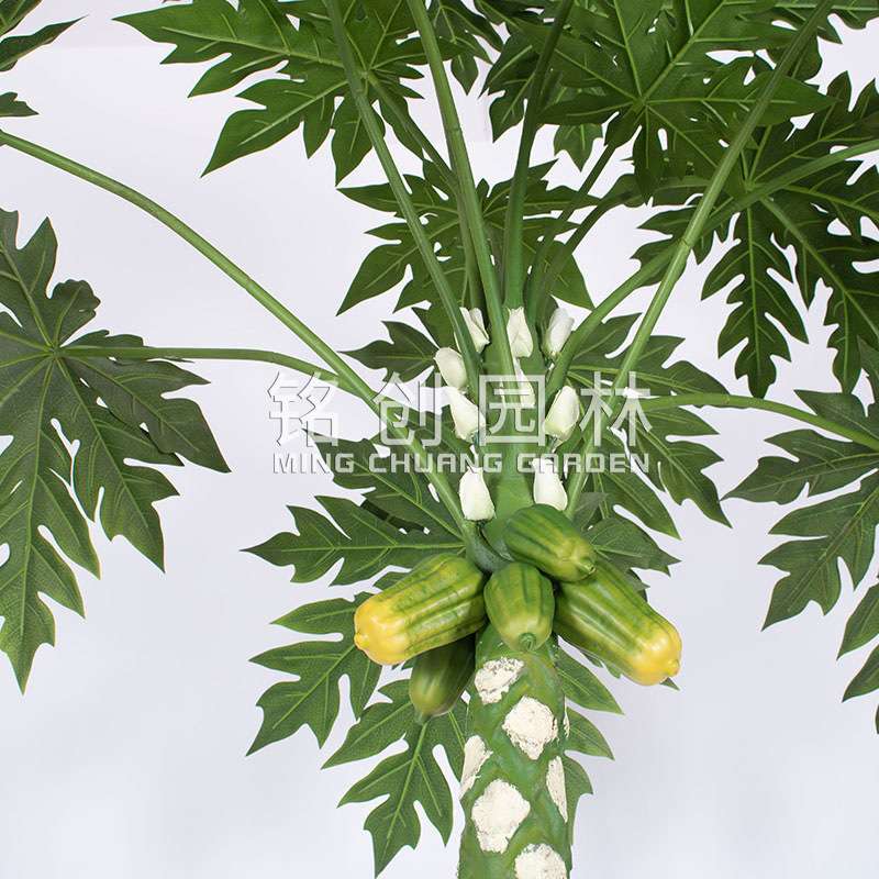 仿真植物万寿木绿植室内盆栽 造景装饰落地大型仿真果树木瓜树