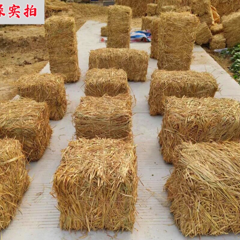 稻草堆草垛干农家乐装饰干稻形圆形草垛子拍摄道具草垛凳子