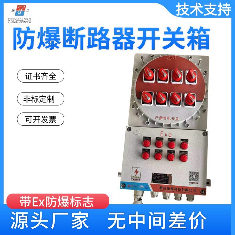 防爆断路器开关箱控制柜防雨型电柜检修仪表电源动力照明接线箱