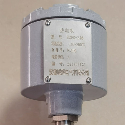 WZPK-246热电阻测温范围-100~250℃分度号PT100固定法兰安装