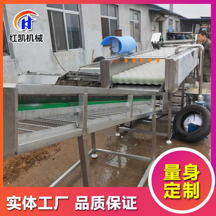 大连牡蛎扇贝毛辊清洗机 生蚝美贝高压喷淋毛刷清洗机 贝壳类
