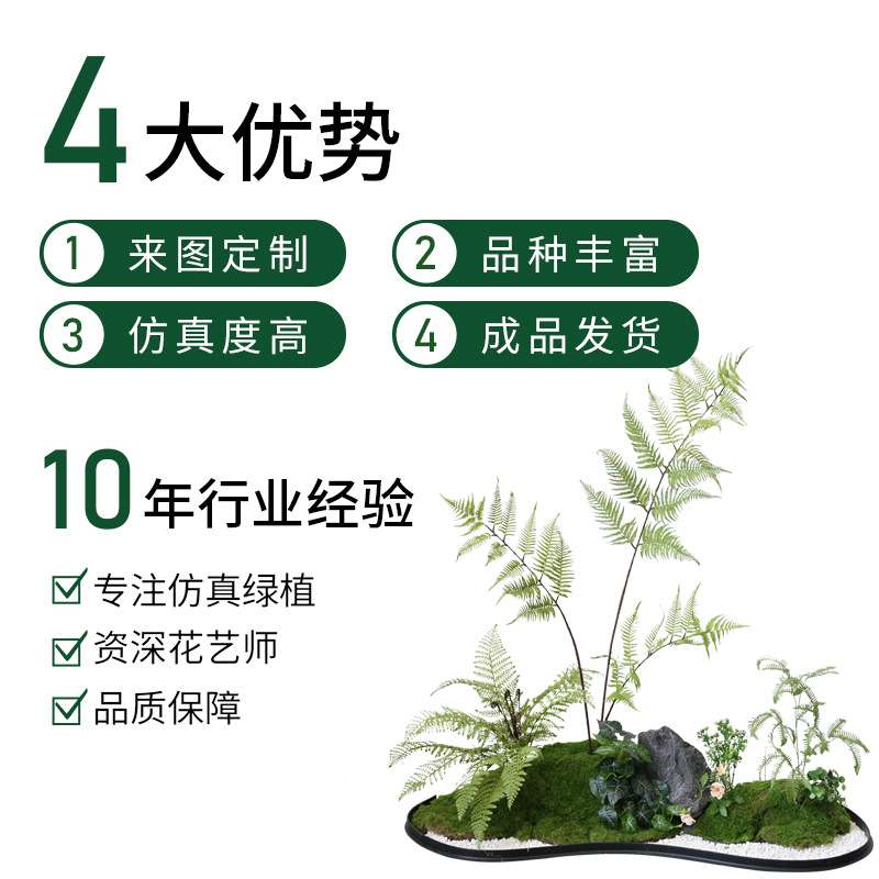仿真绿植造景室内蕨类植物堆景组合楼梯下橱窗花槽假苔藓景观装饰