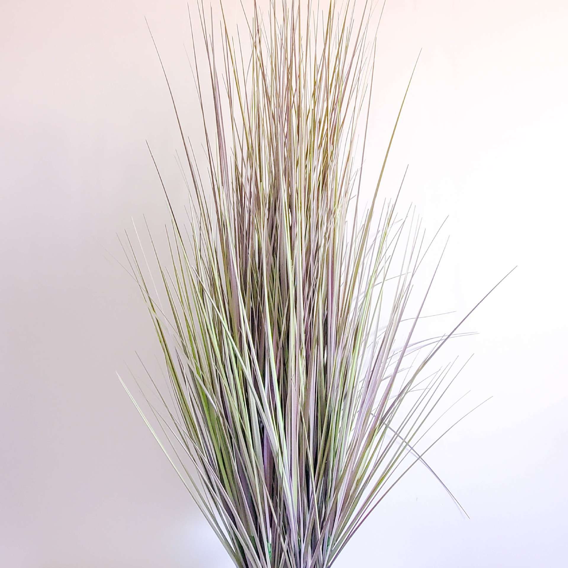 洋葱草装饰品干草仿真草绿植造景饰品绿植植物仿真洋葱草盆栽摆件