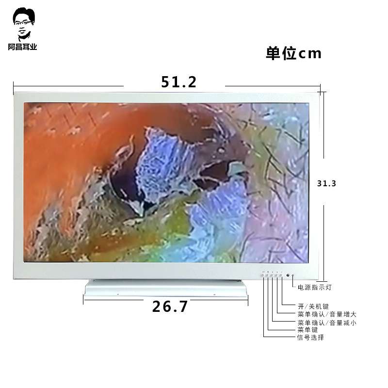 内置电池21.5寸可视采耳设备高清显示器户外野外手把镜检查仪器