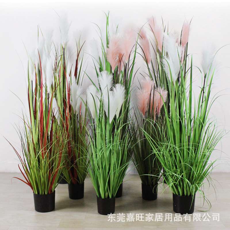 北欧绿植仿真芦苇盆栽干花假花道具水生植物蒲苇落地盆景高仿真