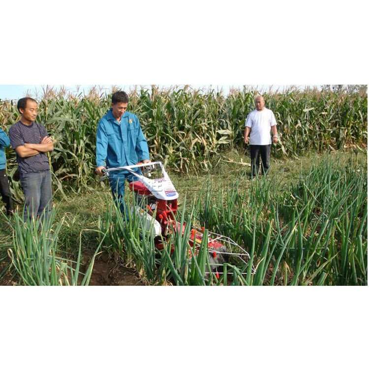 大葱种植机器 温室大棚开沟培土机 果园生姜土豆甘蔗农用旋耕机