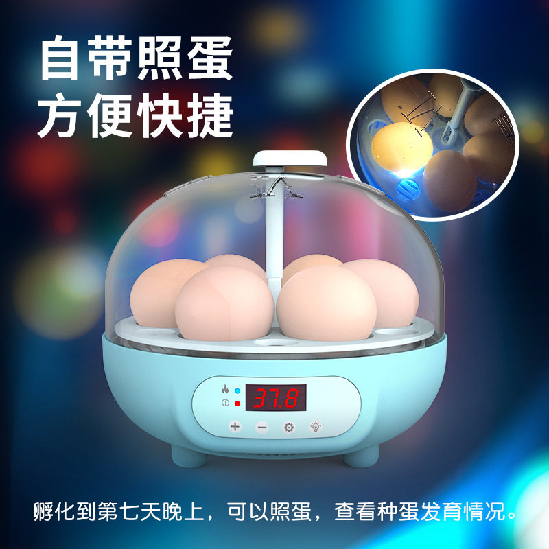 鸟鹦鹉孵化器小型家用孵化箱机玄凤牡丹鹌鹑鸽子虎皮智能恒温专用