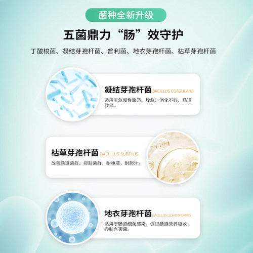 博美专用益生菌粉宠物犬用狗狗小幼犬成犬活性菌肠道消化宝
