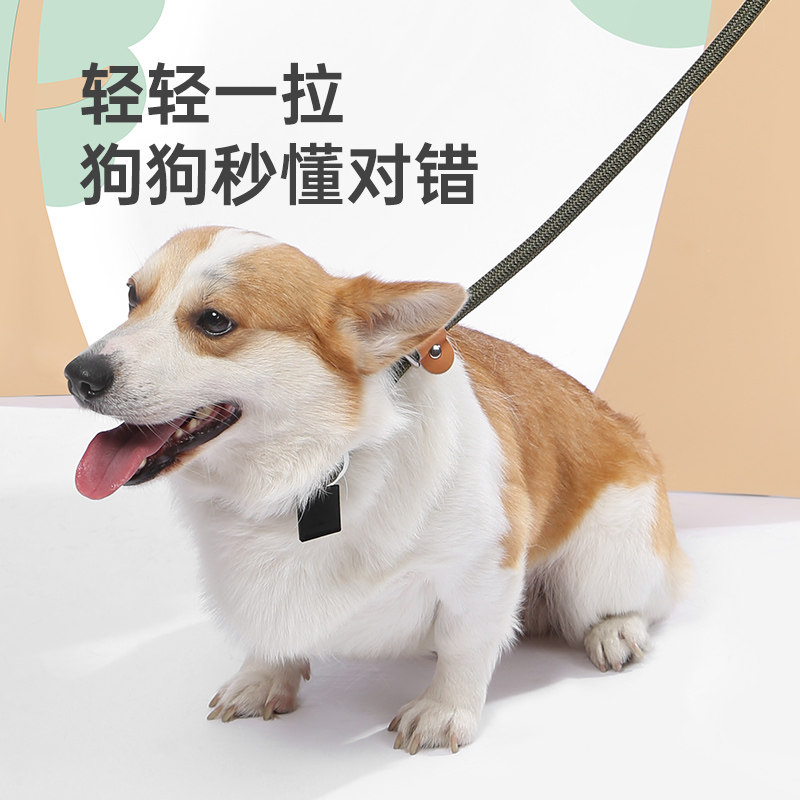 中恒狗狗牵引绳p链防爆冲狗绳子小型犬柯基宠物中大型金毛p绳遛狗