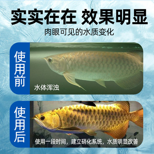 No1硝化细菌鱼缸净用硝化菌消化细菌养鱼用品鱼药活菌水质稳定剂