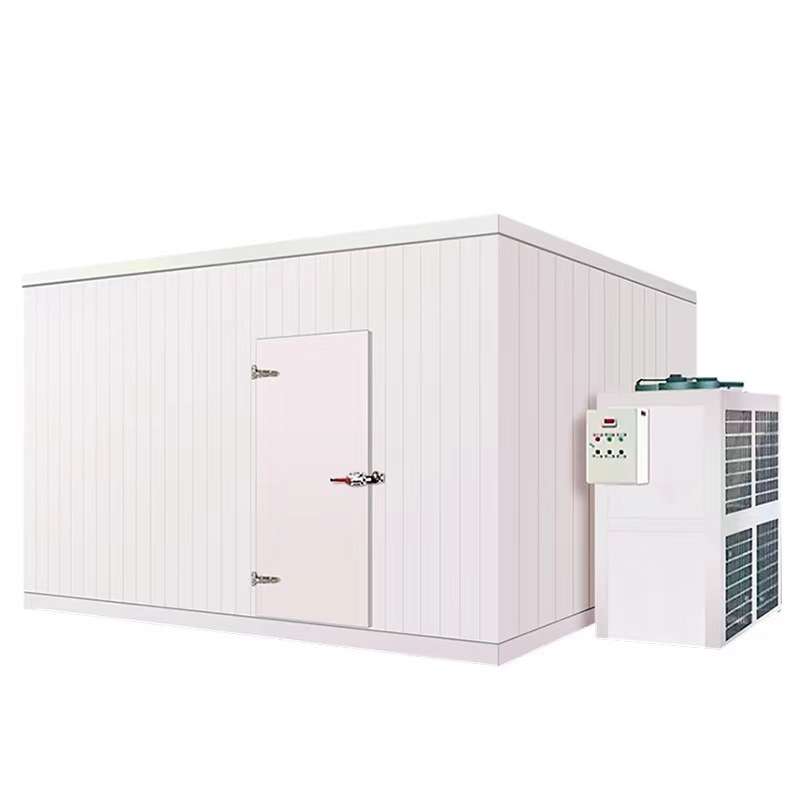 冷库全套设备海鲜肉类冷冻库水果蔬菜冷藏库青岛厂家大型商用冷库