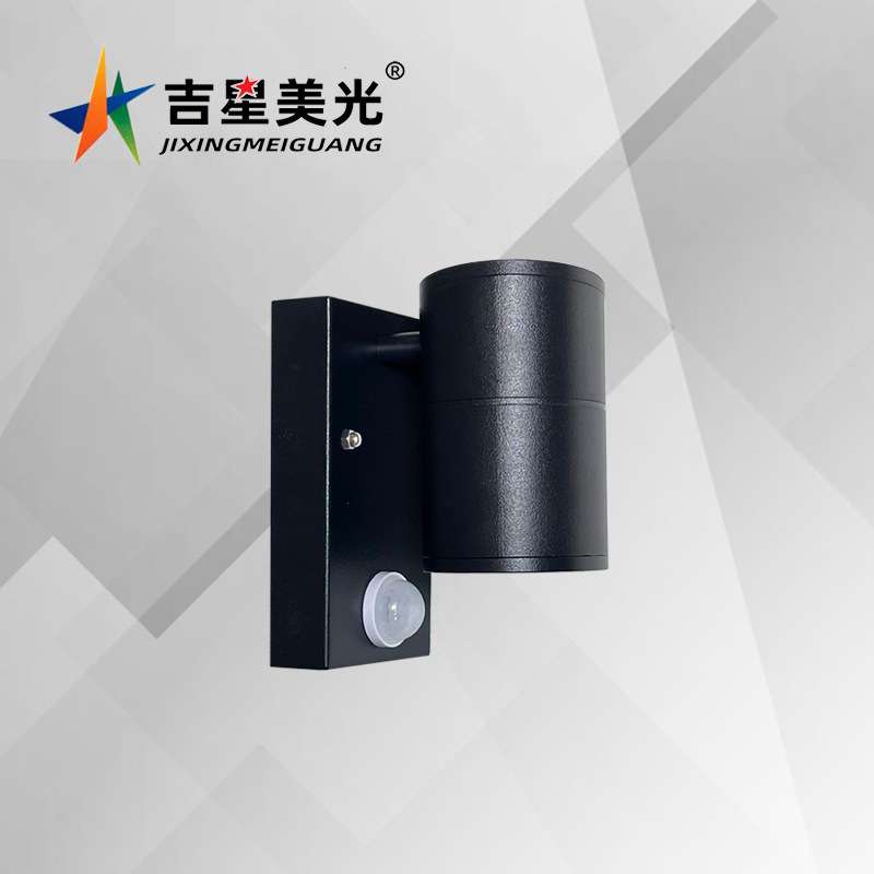 现代欧式人体感应开关LED上下照双头单头别墅花园走廊楼梯墙壁灯