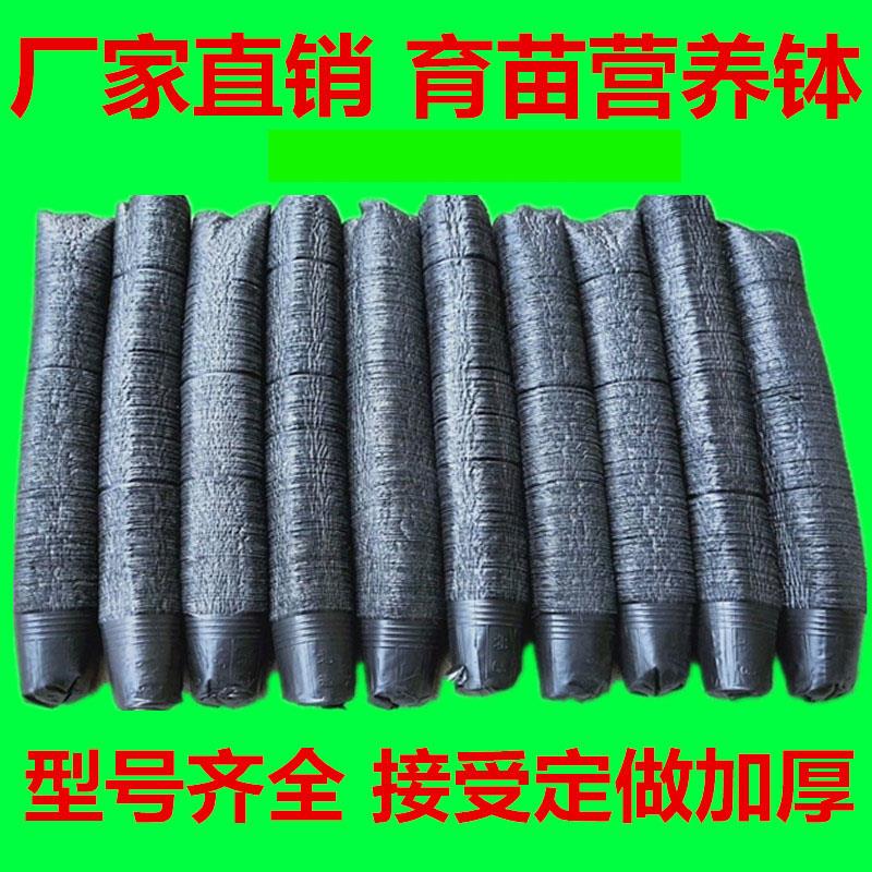 育秧盆营养钵塑料黑色育苗盆育苗杯西瓜杯天麻钵营养杯一次性加厚