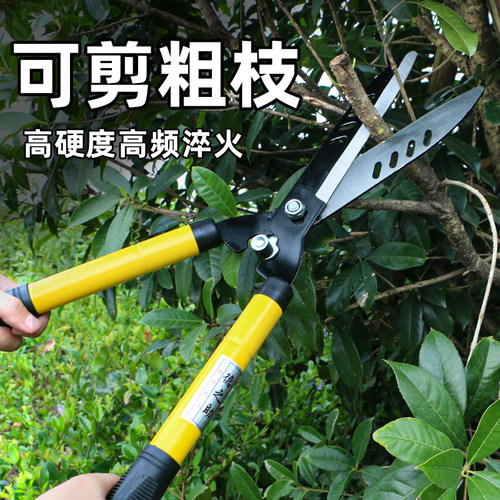 园艺大剪刀修枝剪剪果树园林花剪绿篱剪强力修剪草坪专用修剪树枝