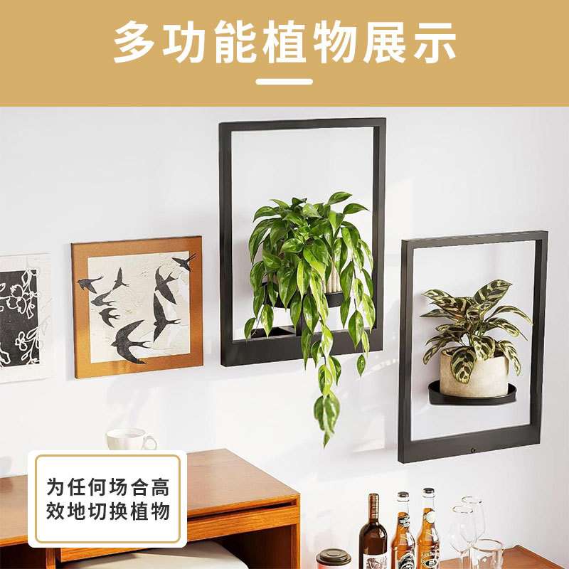 亚马逊铁制壁挂式室内专用花架置物架客厅卧室植物架墙上画框花架