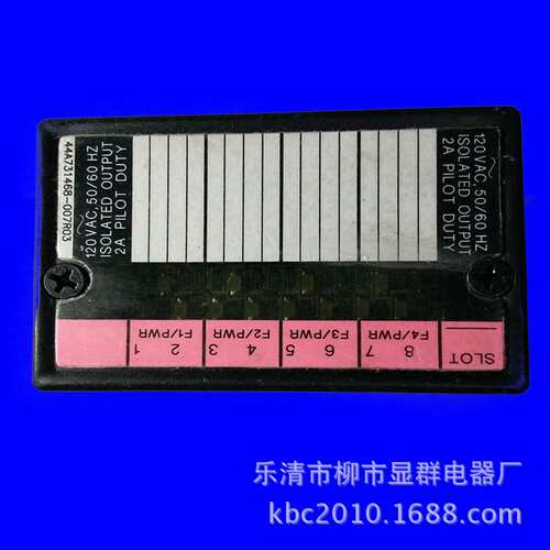 GE FANUC IC670MDL331K Input Module