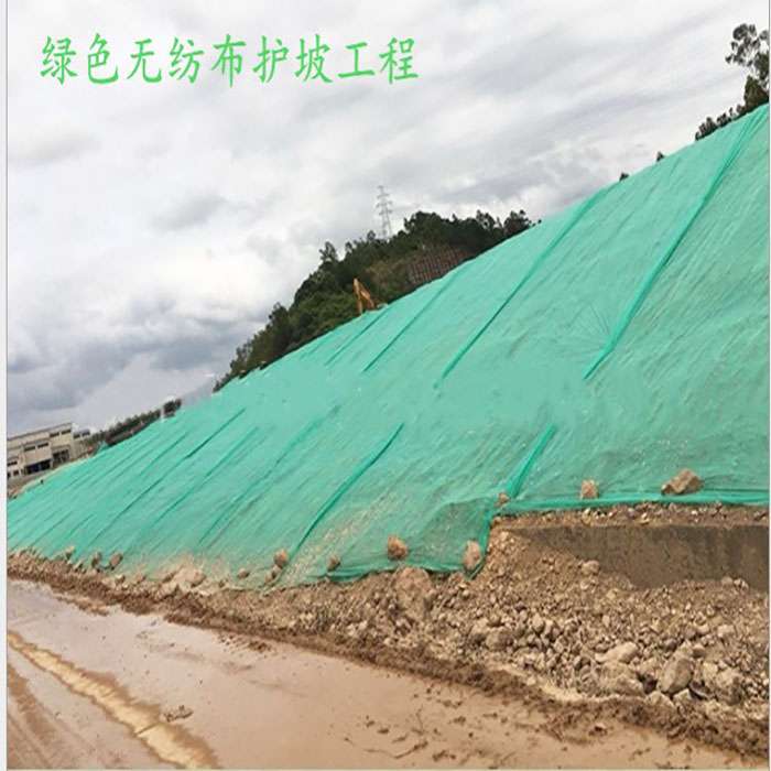 绿化无纺布绿色膜园林工地防尘盖土布护坡边坡草坪种草无纺布整卷