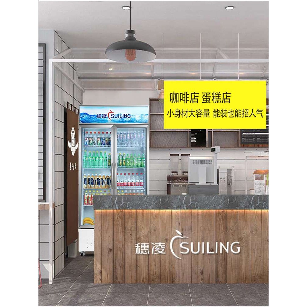 穗凌立式冷柜 LG4-900M2/W风冷无霜保鲜冰柜 双门饮料冷藏展示柜
