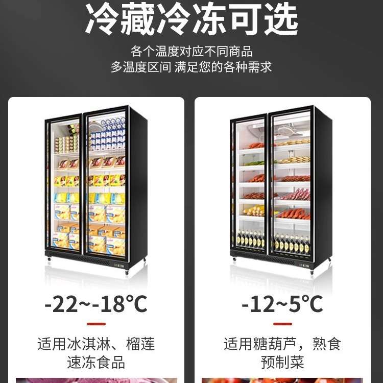 冷冻展示柜商用急冻柜商场超市冰箱冰淇淋低温柜风冷立式冰柜
