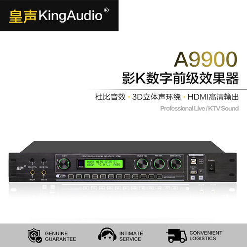 KingAudo皇声9900数字影