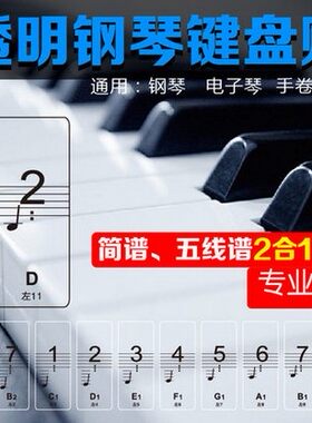 包邮88键专业透明钢琴键贴纸61电子琴键盘手卷钢琴键贴五线谱简谱