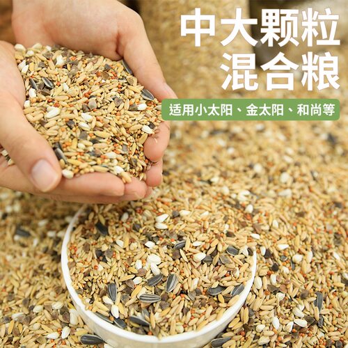 高能鹦鹉鸟粮饲料中大型通用鸟食带壳黄谷子五色黍子燕麦混合粮食