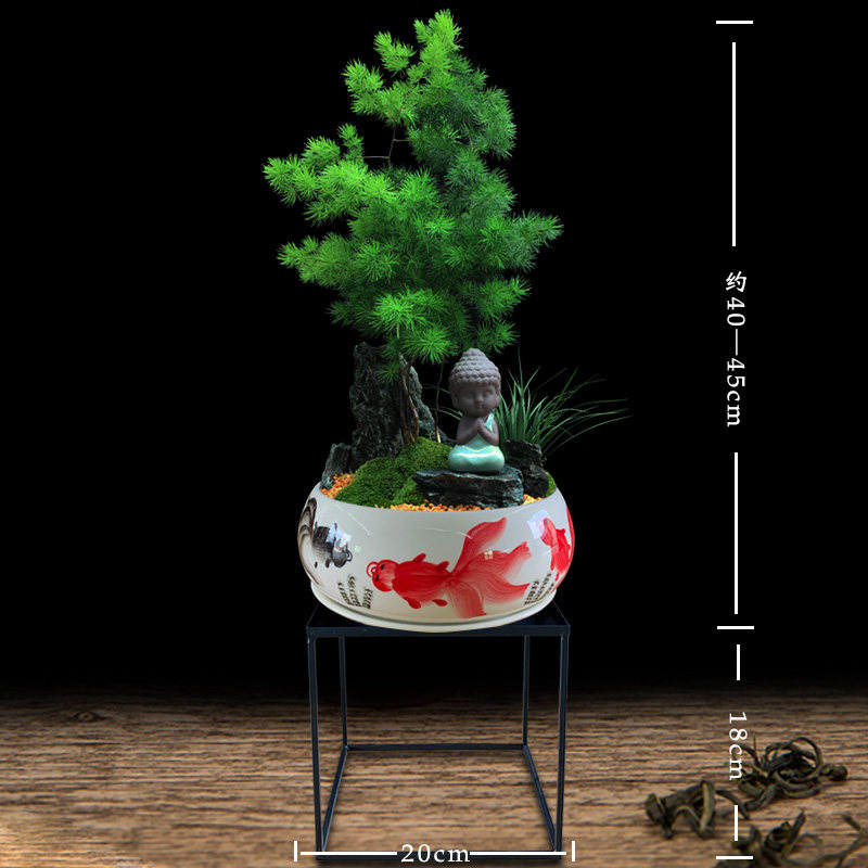 蓬莱松盆栽植物室内大客厅招财四季绿植花卉办公室好养易活真盆景