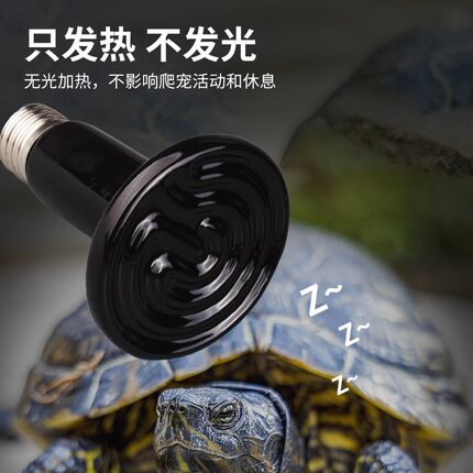 陶瓷加热灯爬虫宠物加热无光灯陆龟蜥蜴晒背保温灯鹦鹉温控夜灯