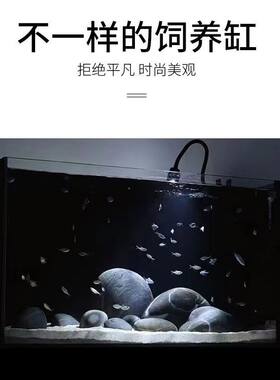 佛鳄龟压克力发色缸虎纹巨头窄桥蛋龟龟苗黑白发色盒家用乌龟鱼缸