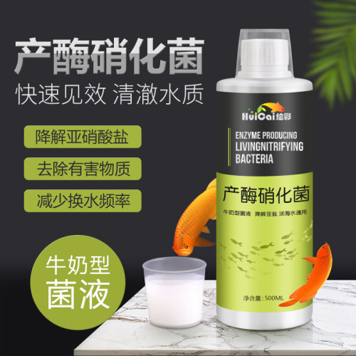 绘彩硝化细菌液体鱼缸水质净化剂水族箱产酶消化活菌养鱼用稳定剂
