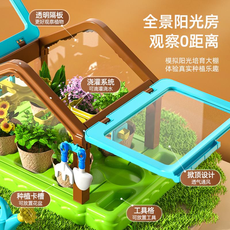 儿童种植迷你小盆栽温室阳台种蔬菜观察生长幼儿园小学生种花植物