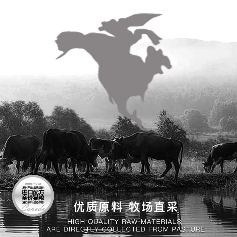 汤恩贝无谷猫粮C系列全期全价主粮无毛猫适用控油好吸收低敏护胃