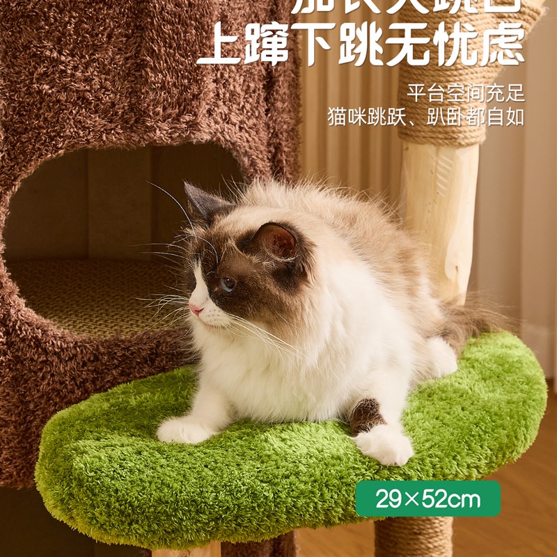 喵想树丛林实木猫爬架家用小户型不占地猫窝猫树猫抓板一体猫架