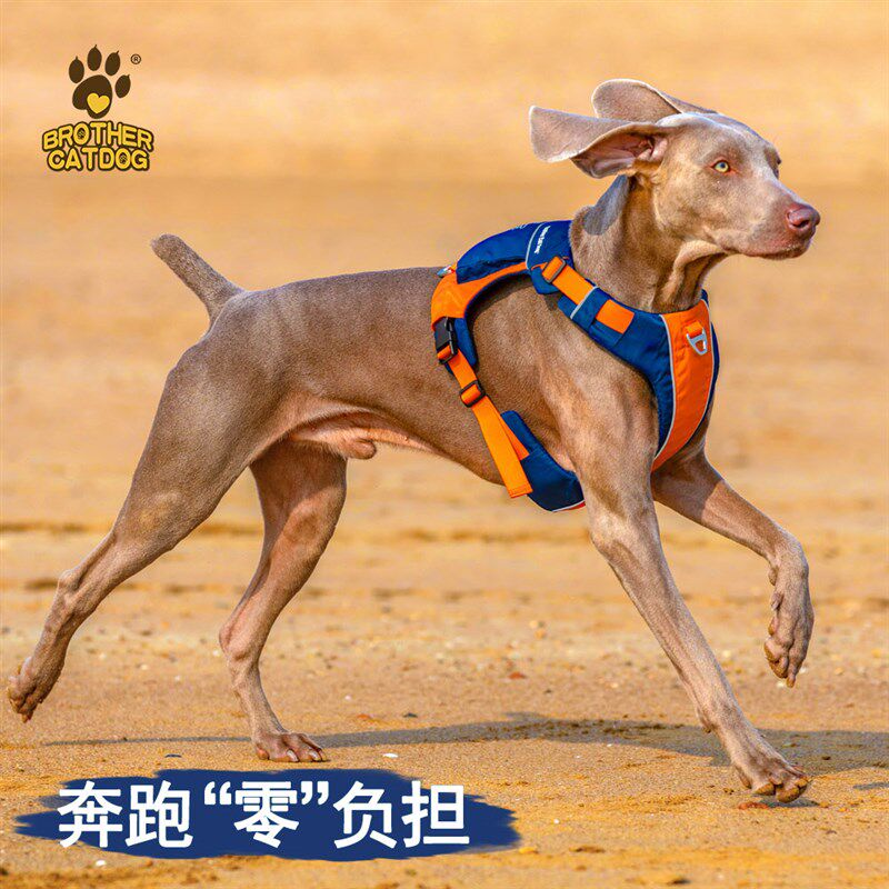狗狗胸背带牵引绳夜间遛狗安全背心防爆冲拉布拉多出门遛狗收纳