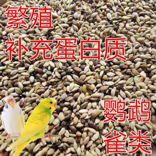 鹦鹉鸟食野草草籽混合饲料珍珠玉鸟白燕白子红子饲料虎皮牡丹玄凤