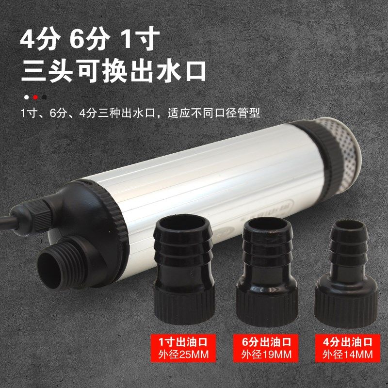 12V电动柴油抽油泵抽水泵大功率抽药泵24V小型潜水泵220V抽油神器