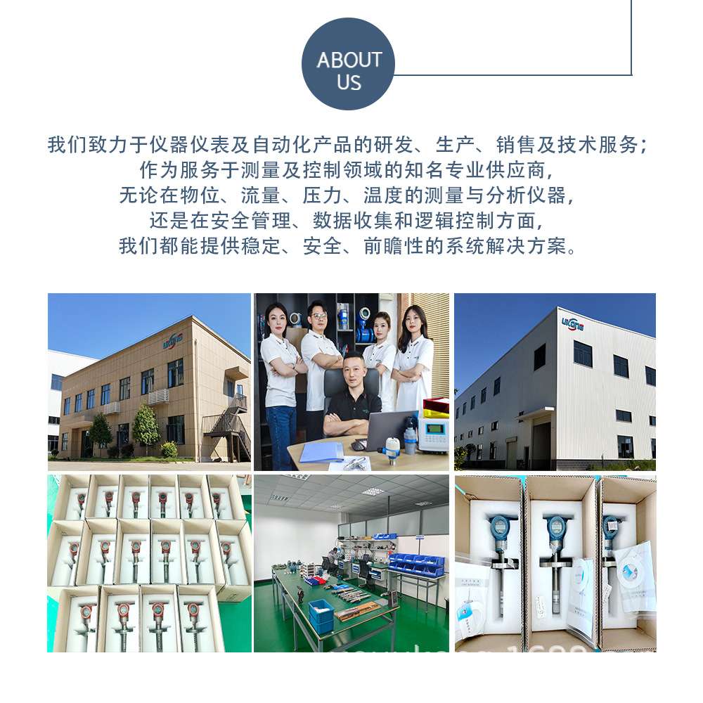 音叉密度计工业在线式液体音叉蜜度计厂家 在线密度计在线浓度计