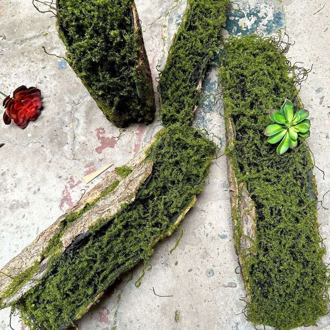 摆放植绒植物装饰花树皮器造景软装悬挂绿植苔藓仿真绿植墙面草皮