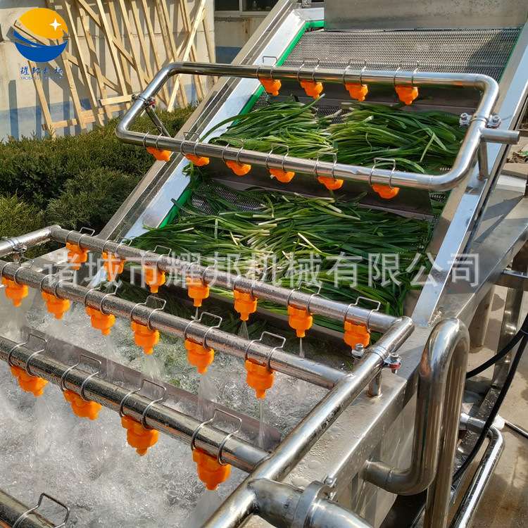气泡式果蔬清洗机 洗油菜蒜黄韭菜大葱机器 自动洗菜机