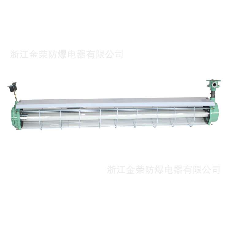 BPY52双管防爆荧光灯单管不锈钢净化灯IIC防潮防腐全塑IP66日光灯