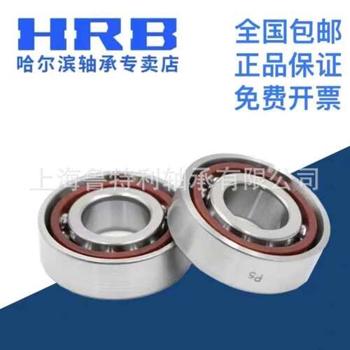 HRB轴承 哈尔滨角接触轴承7200 7201 7202 7203 7204ACTA/P5 P4